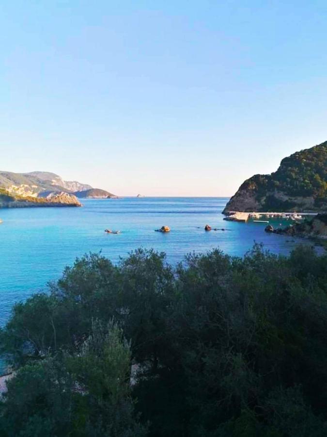 Vassilis *