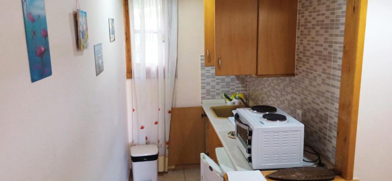 Appartement Vassilis *