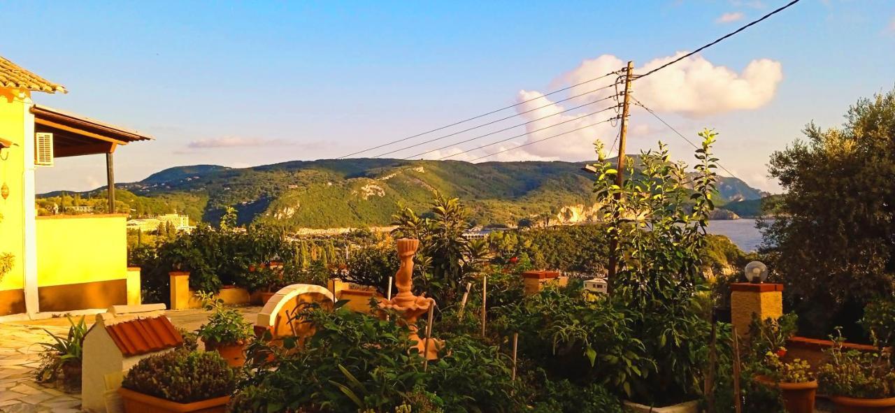 Vassilis