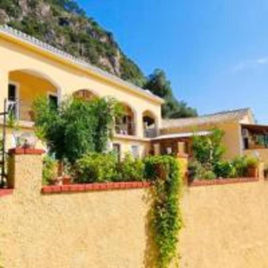 Vassilis Appartement *