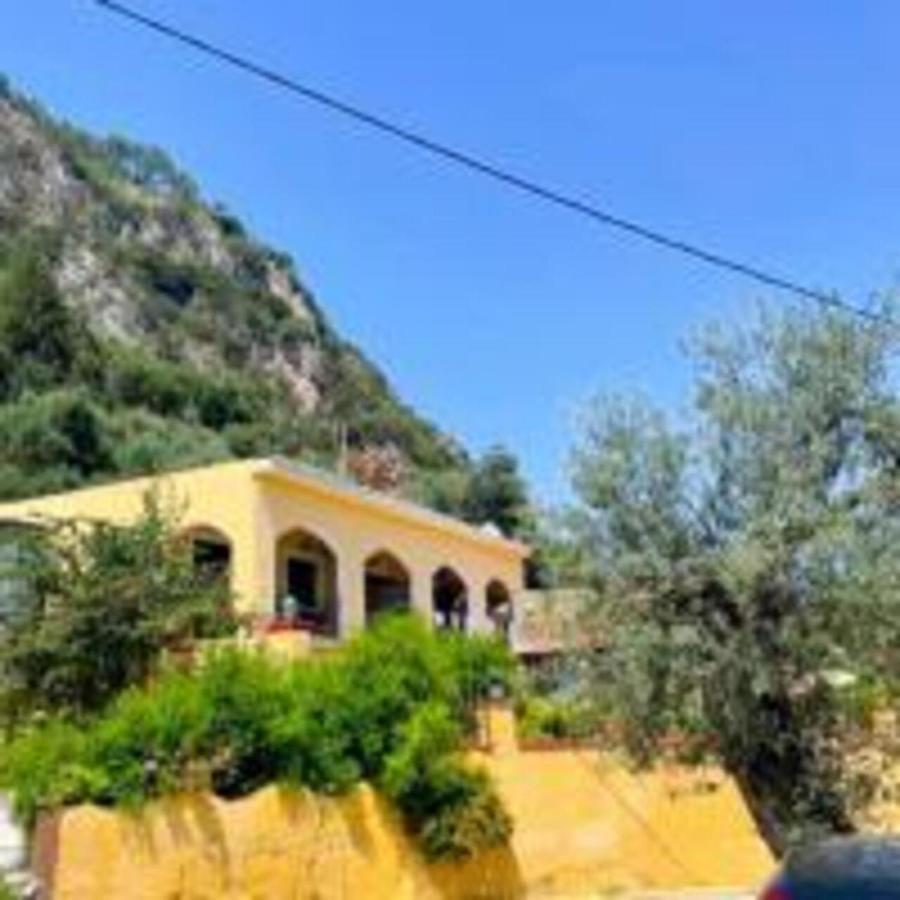Vassilis Appartement Paleokastritsa