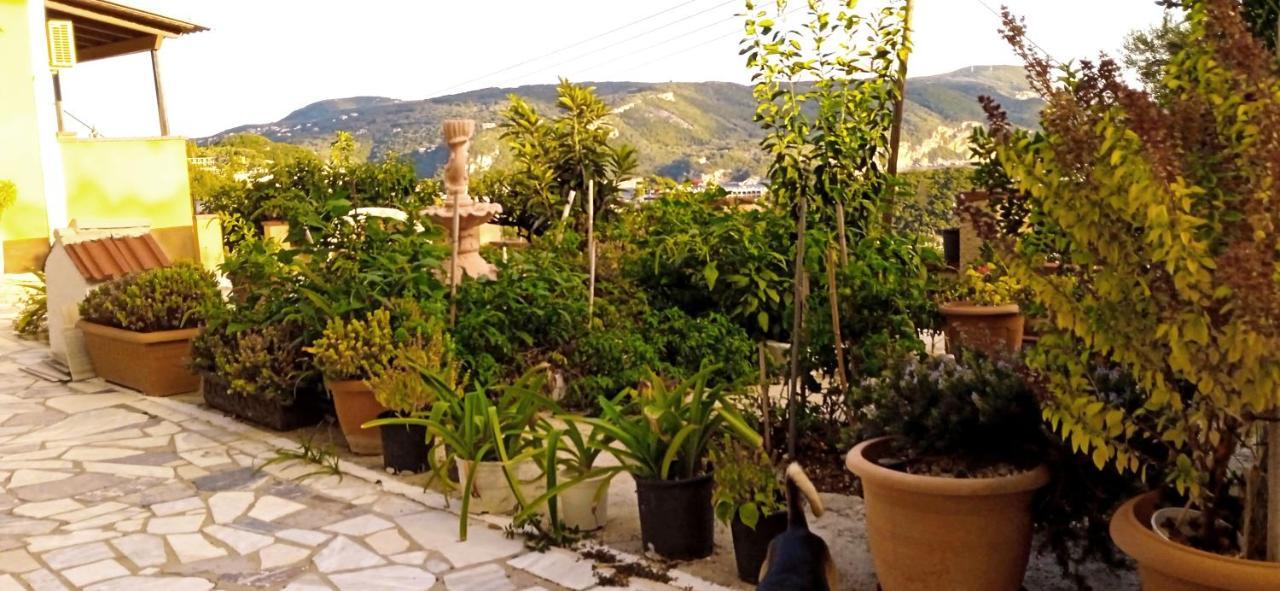 Vassilis Appartement *
